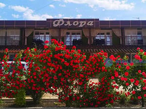 Флора