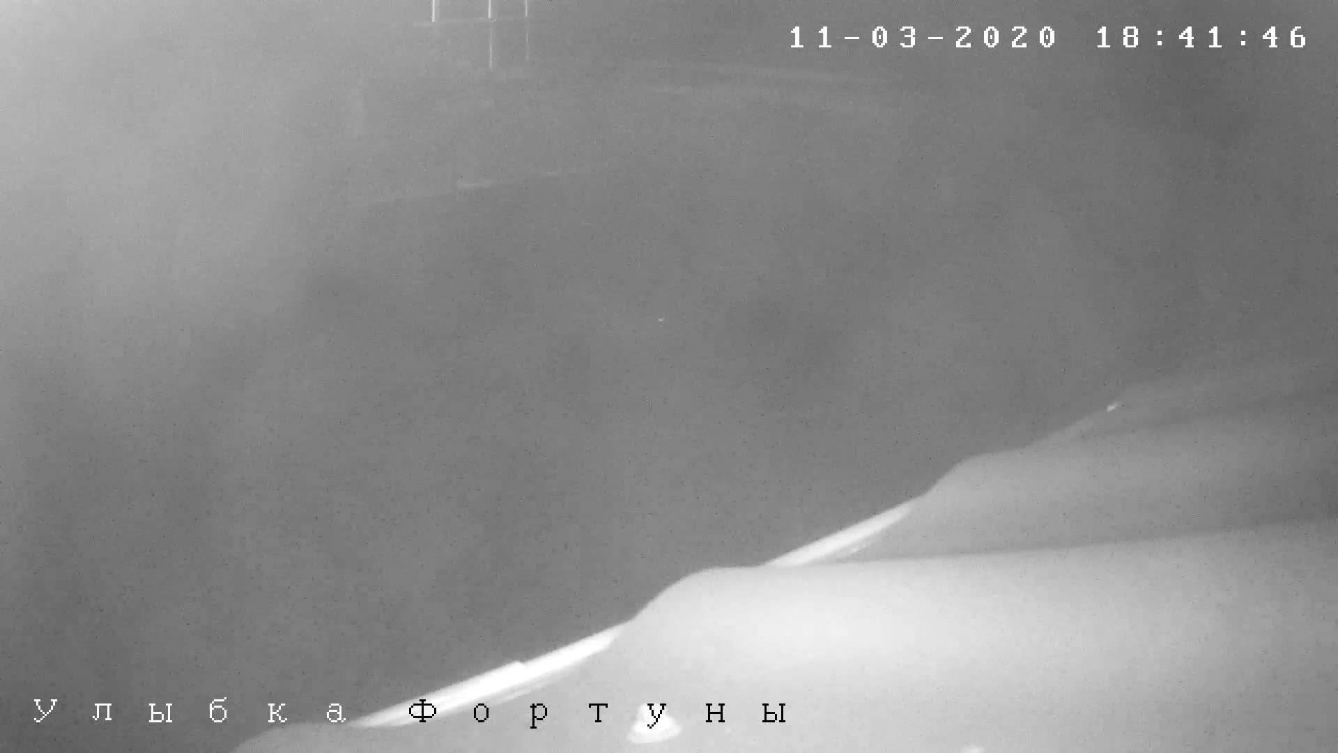 Веб камера в заповедной зоне на Бирючем острове в Кирилловке