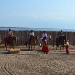 058_kirillovka_konniy_teatr