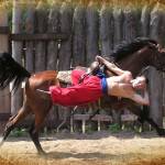 060_kirillovka_konniy_teatr