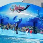 062_kirillovka_delfinariy_oskar