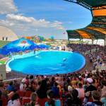 066_kirillovka_delfinariy_oskar