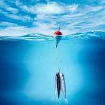 Рыбалка в Кирилловке