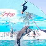 Дельфинарий в Кирилловке