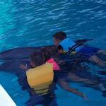 Дельфинарий в Кирилловке