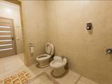 Туалет в трехкомнатном номере отеля New Vasiki в Кирилловке